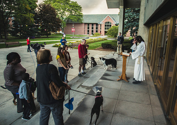 Nature shines on St. Francis Day blessing