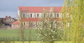 Academic study trips-summer 2020