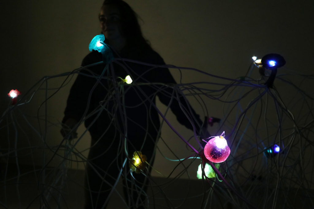 Immersive art exhibit