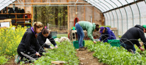 Leahy appropriation at Saint Michael’s funds two inaugural Institute for the Environment fellows