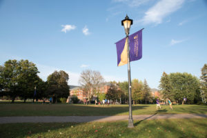 Summer College stressing popular online classes