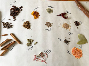 Zoom, spices offer taste of India after trip canceled