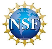 Summer research projects arise thanks to funds, creative mentors