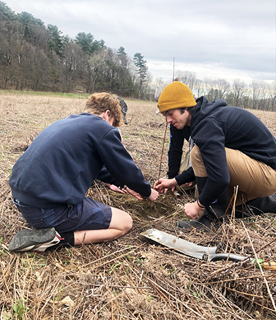 Campus springs to life with multiple May tree-planting events