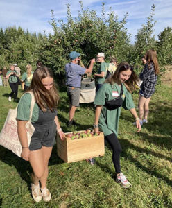 Nearly 70 first-years manage to pick 5,000 apples during popular MOVE opener Saturday