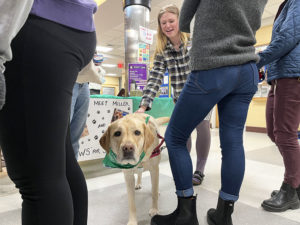 Fresh Check Day, promoting student mental health, attracts nearly 100