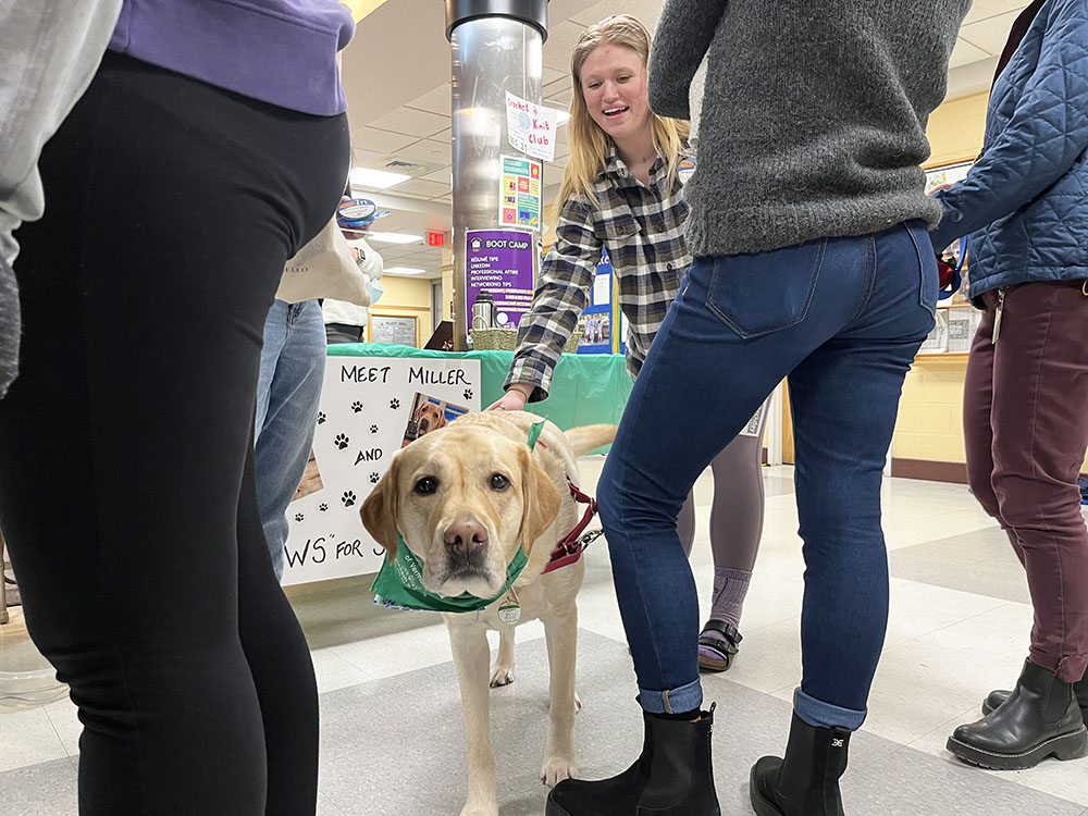 Fresh Check Day, promoting student mental health, attracts nearly 100