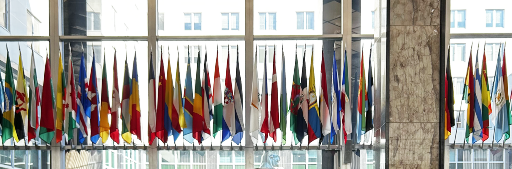 Freeman Foundation supports 18 St. Mike’s student internships in Asia during summer 2025