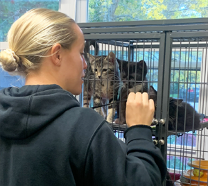 Students pursue creature comfort as MOVE volunteers