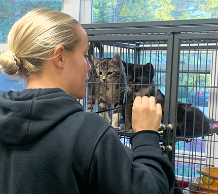 Students pursue creature comfort as MOVE volunteers