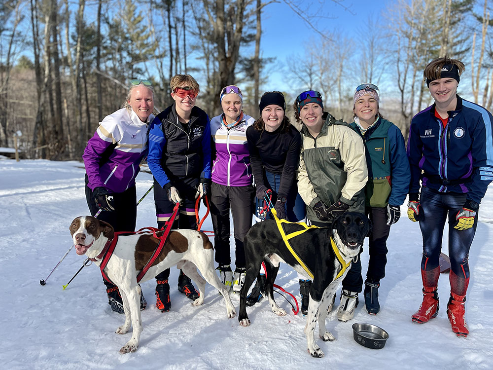 Skijoring! Nordic skiing while being pulled by a dog is fun, thrilling