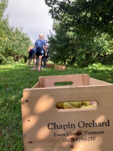 ‘Upbeat and incredibly energizing’: MOVE off to a positive start with volunteer activities galore