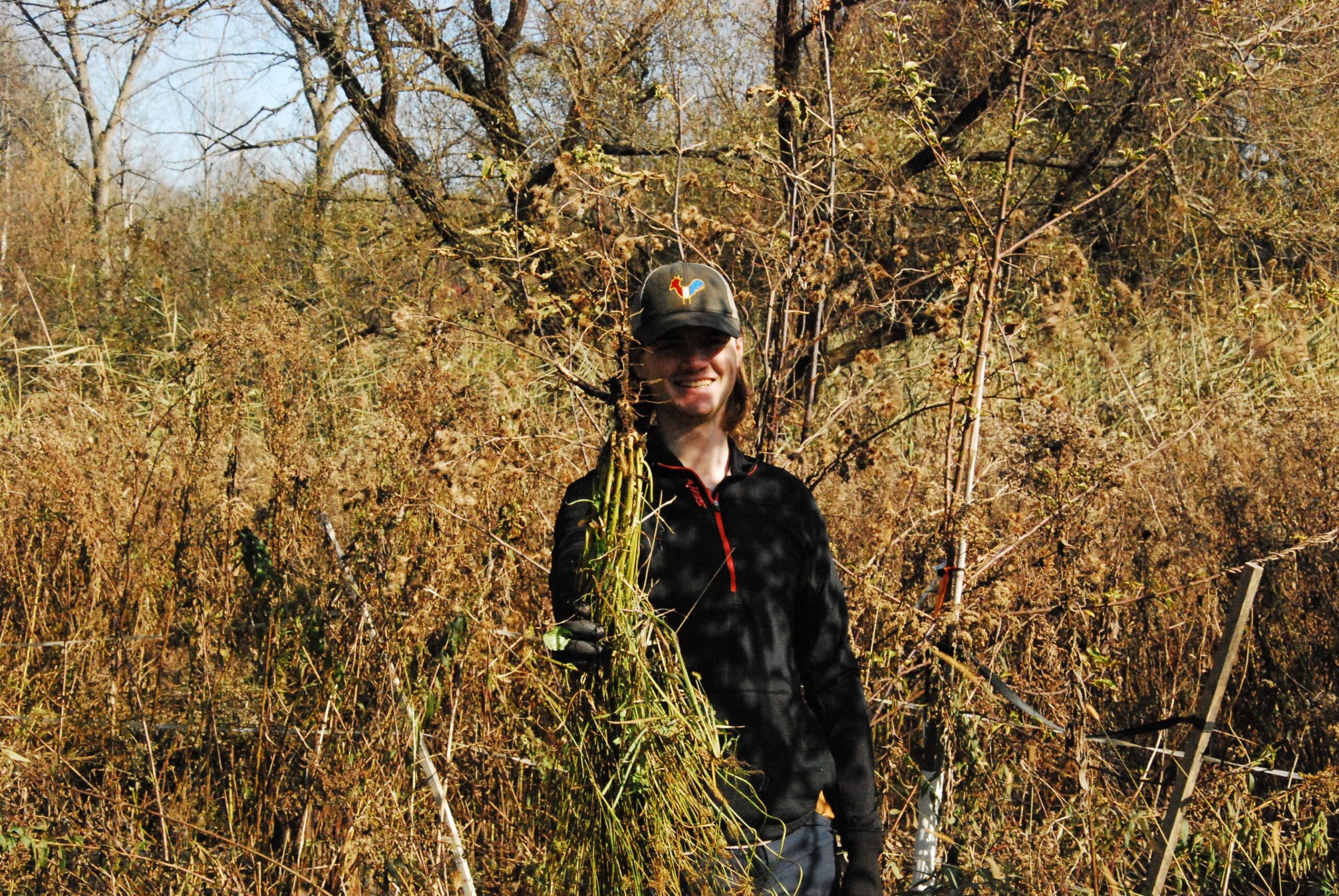 Students and volunteers remove plants around the base of the trees in the Food Forest.