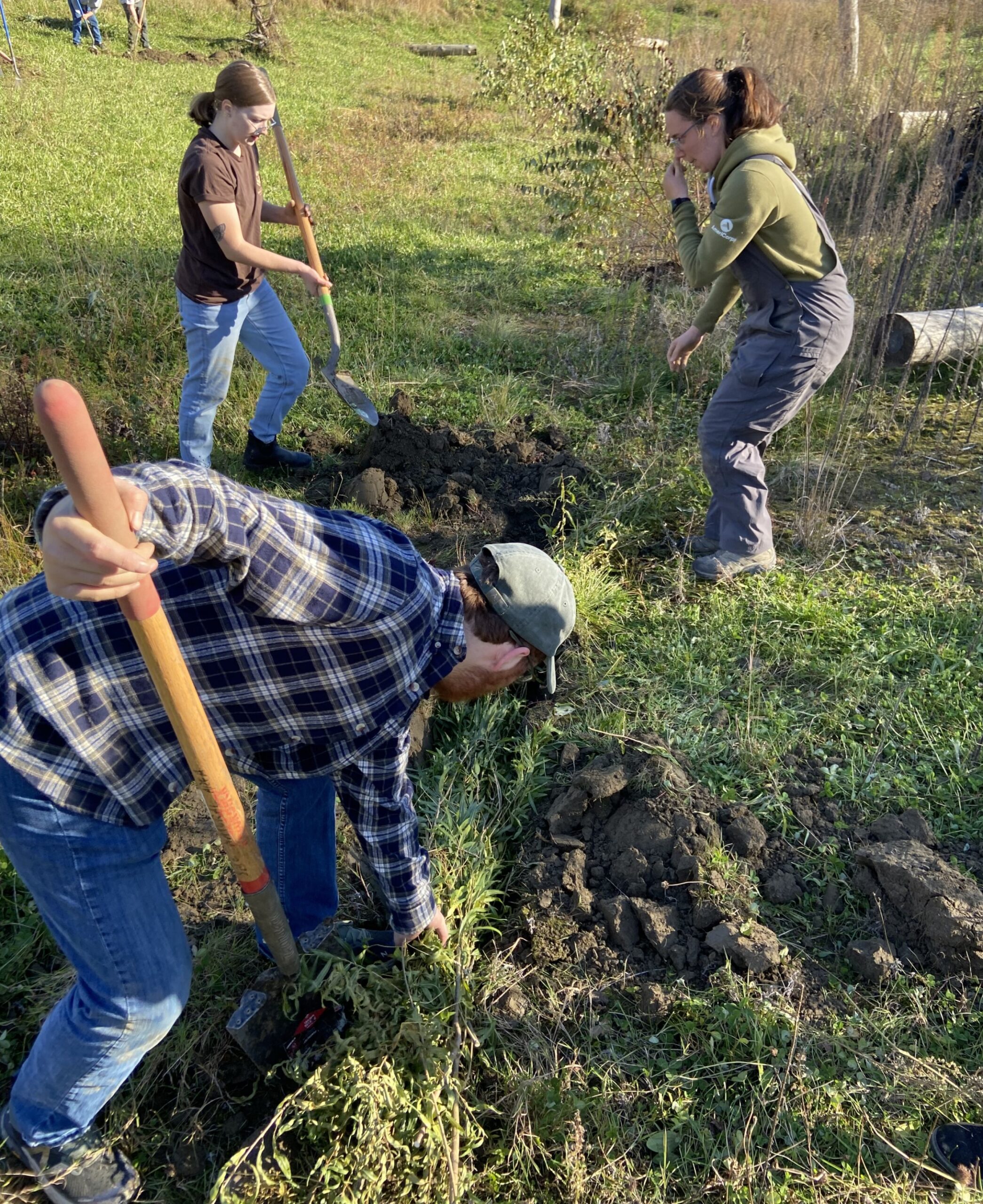 Students plant trees and willow fascines in the Natural Area.
