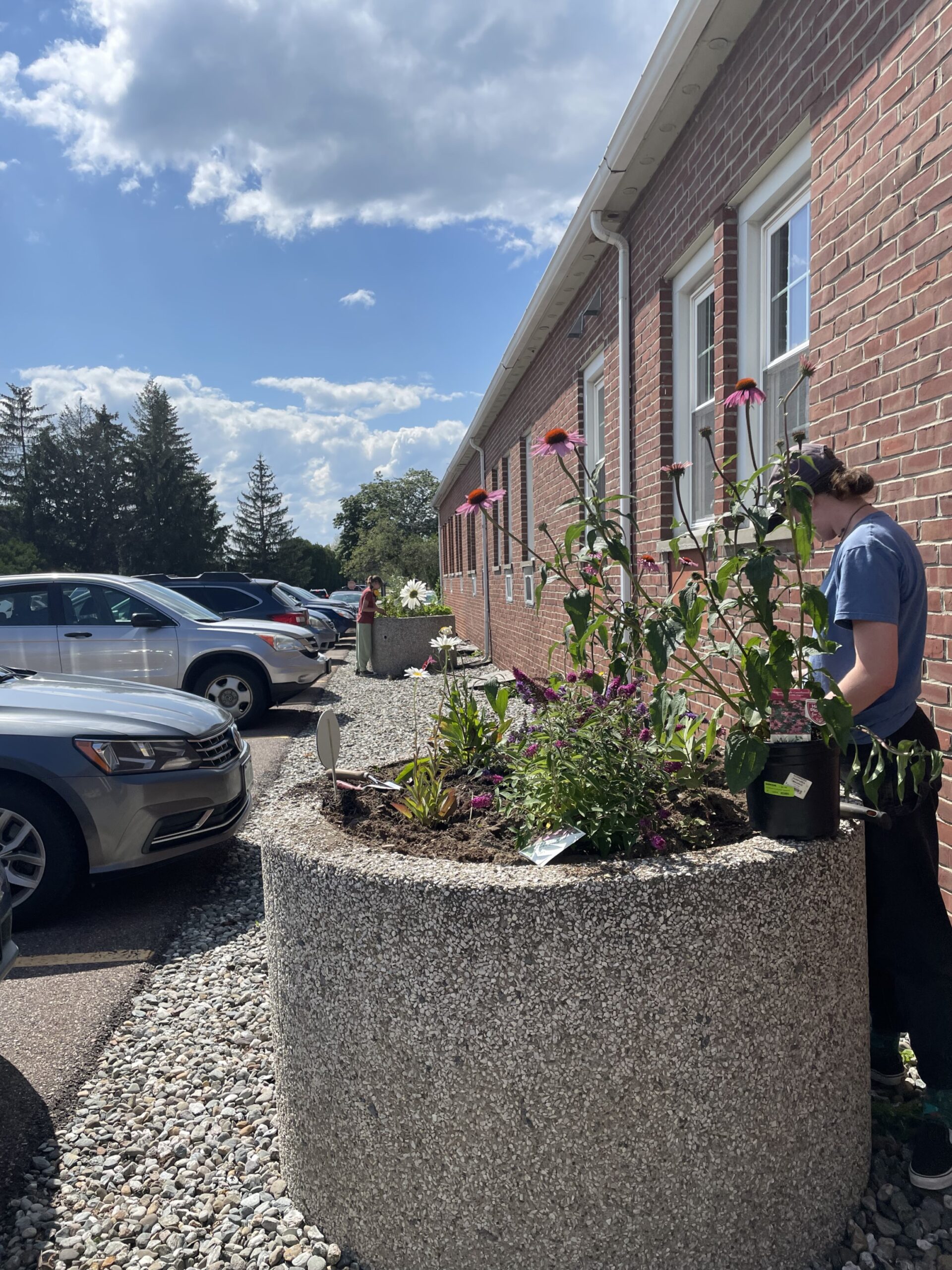 Klein Native Planters created by Art & Ecology students.