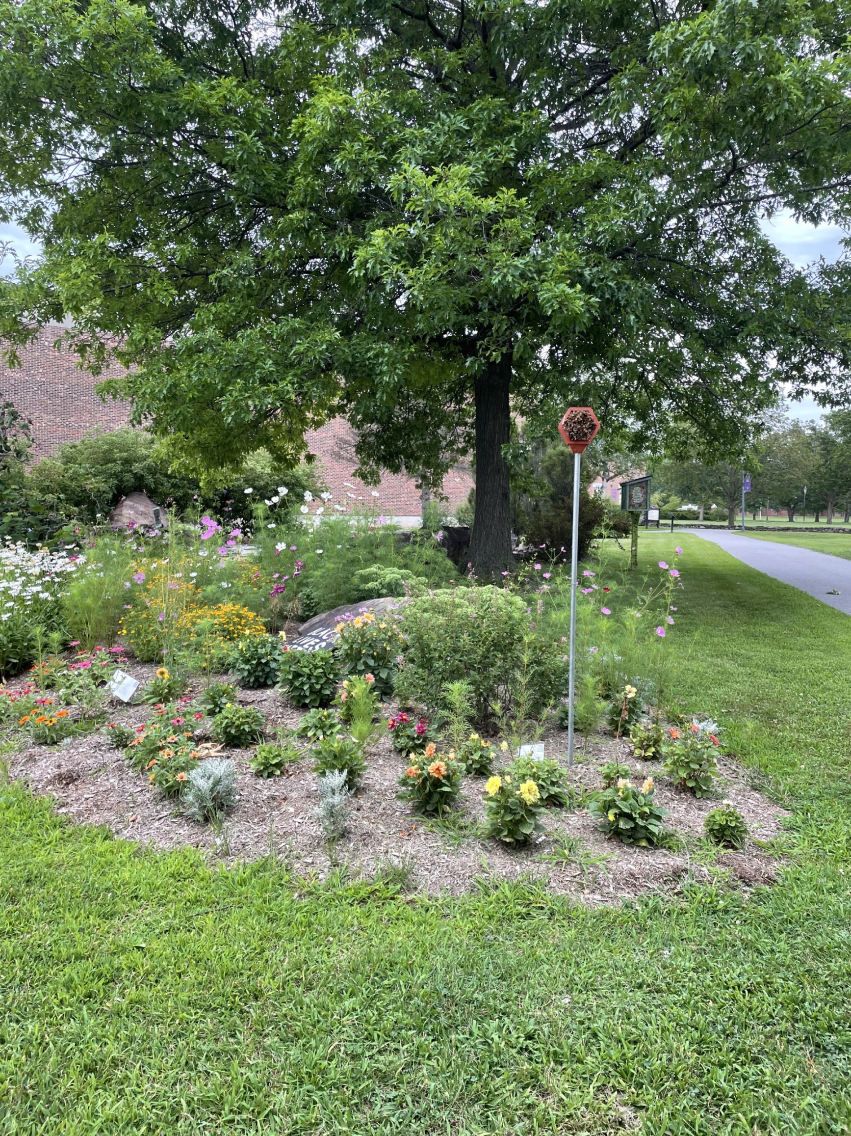 Bee houses created by Art & Ecology students are placed in many outdoor spaces around campus.