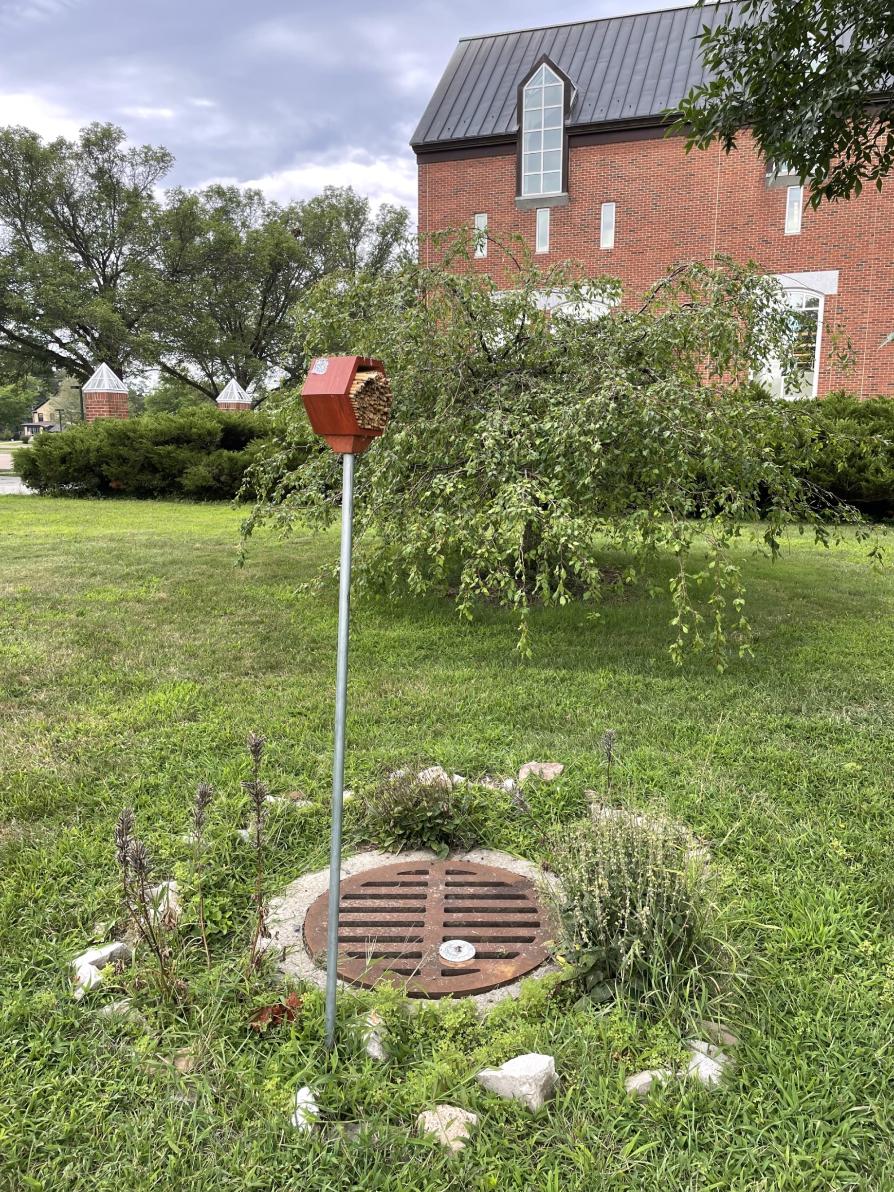 Durick Drain Gardens created by Art & Ecology students.