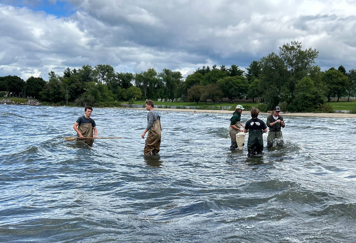 Saint Michael's College students work in Lake Champlain as part of an Aquatic and Marine Biology class.  