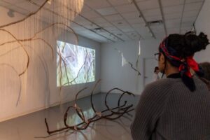 Visiting artist uses natural resources in her work,“When There Were Birds: Sutra for Belonging”