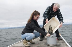 Two new academic programs capture growing interests of Saint Michael’s students