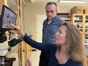 The liberal arts advantage: Saint Michael’s College’s role in a major Alzheimer’s discovery