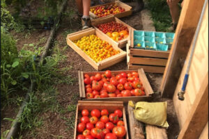 A Deep Dive Into Doug Facey’s Labs