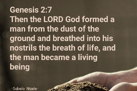 Principle One:  Life and Dignity of the Human Person