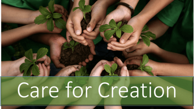 Principle Seven: Care for God’s Creation
