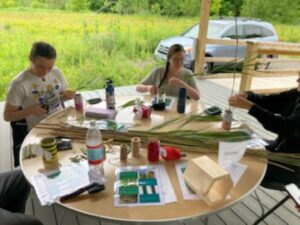 Invasives and Insect Hotels