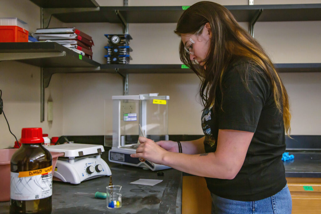 The science of spice: How one St. Mike’s student researcher could revolutionize the saffron industry