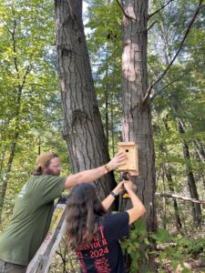 Bring on the Birdhouses with GreenUp