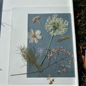 Professor D’Amore Dives into I4E Spaces!